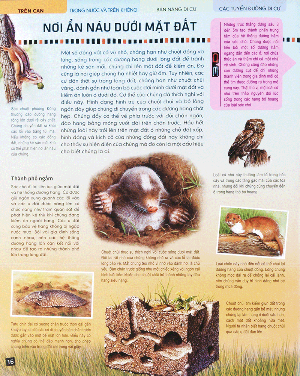 di chuyển và di cư