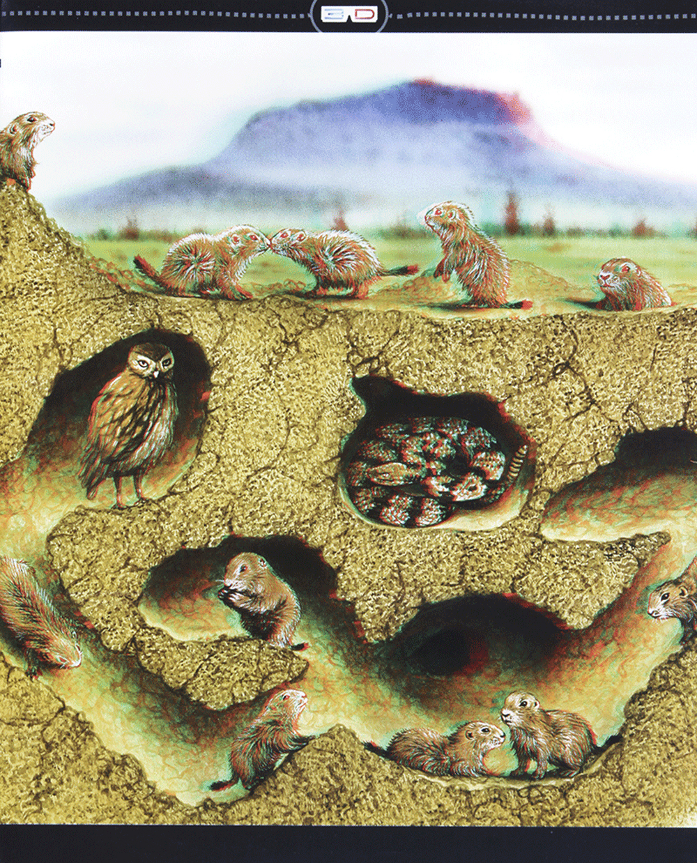 di chuyển và di cư