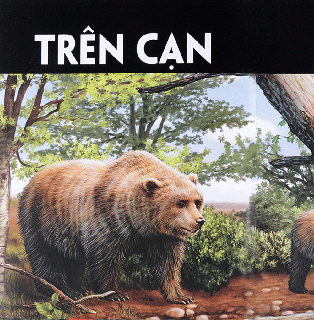 di chuyển và di cư