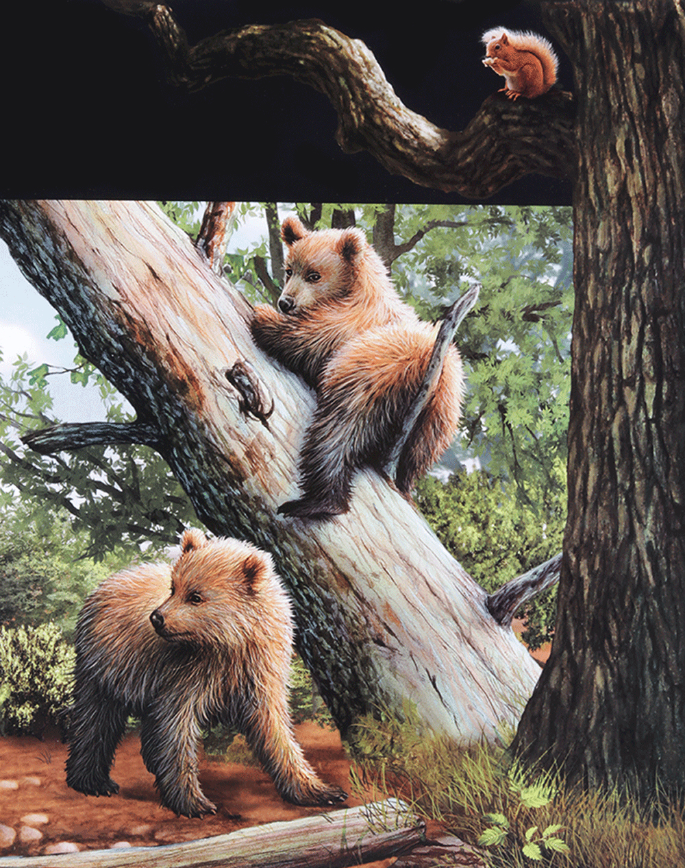 di chuyển và di cư