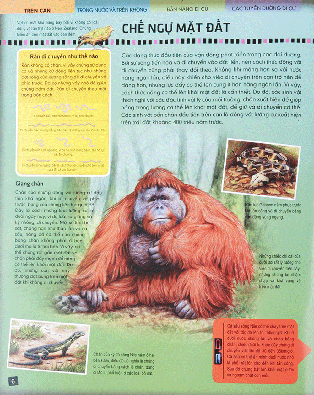 di chuyển và di cư