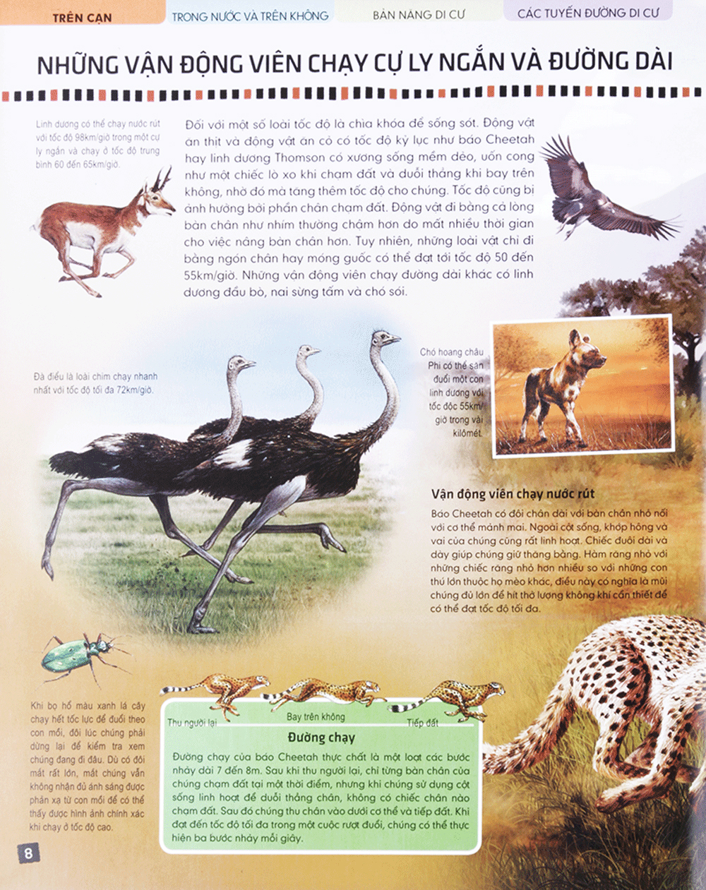 di chuyển và di cư