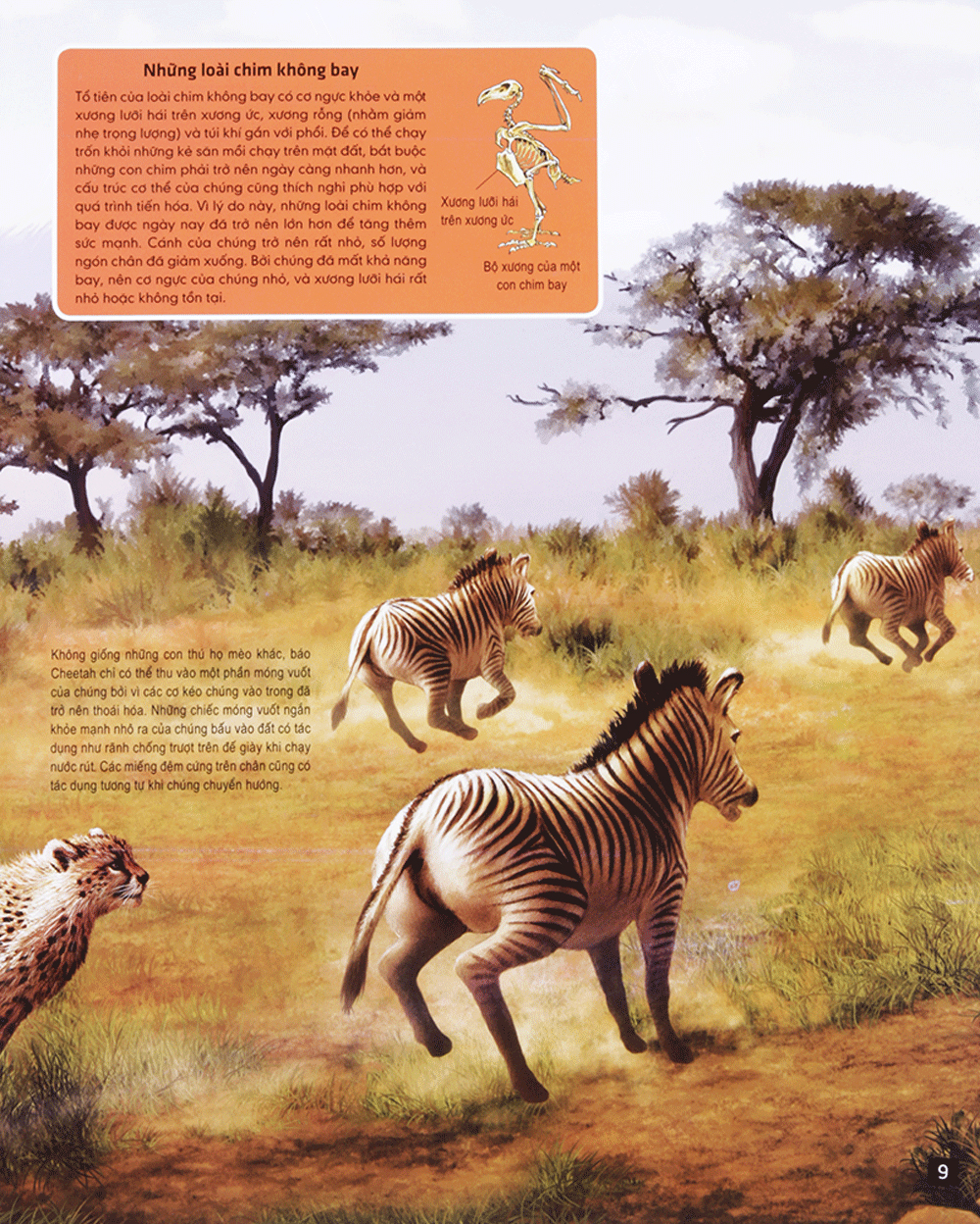 di chuyển và di cư