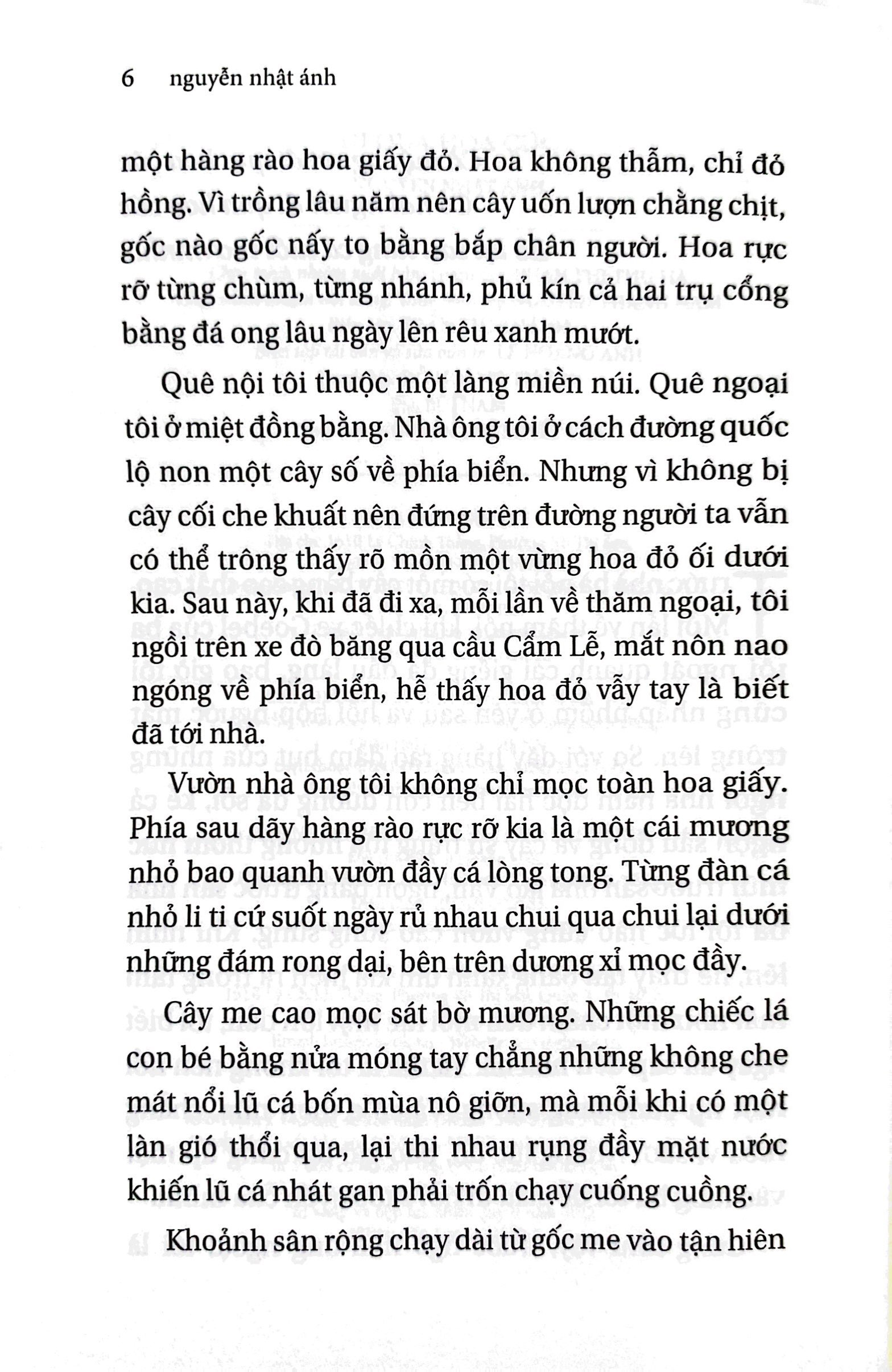 đi qua hoa cúc (tái bản 2022)