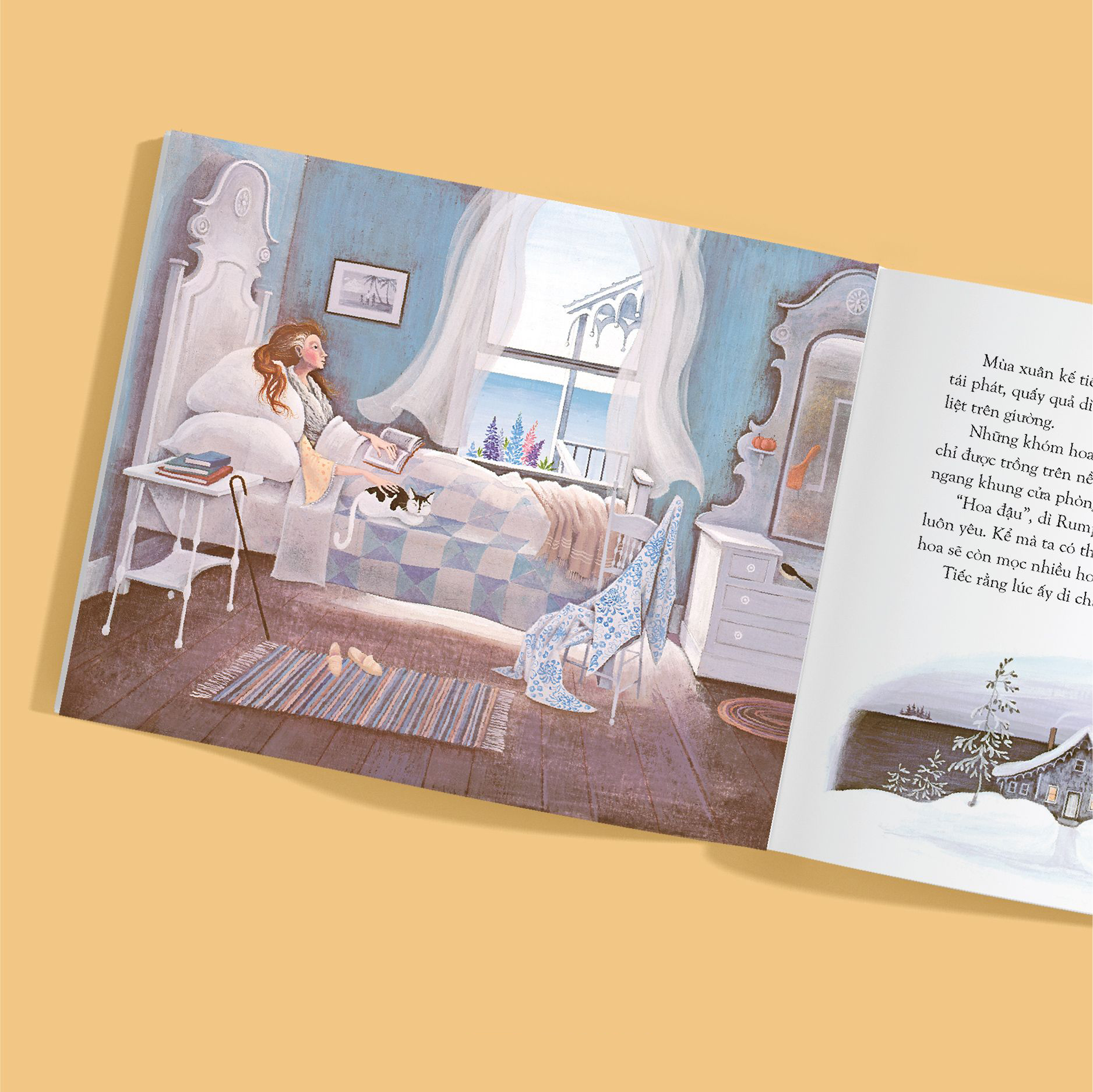 dì rumphius - bìa cứng