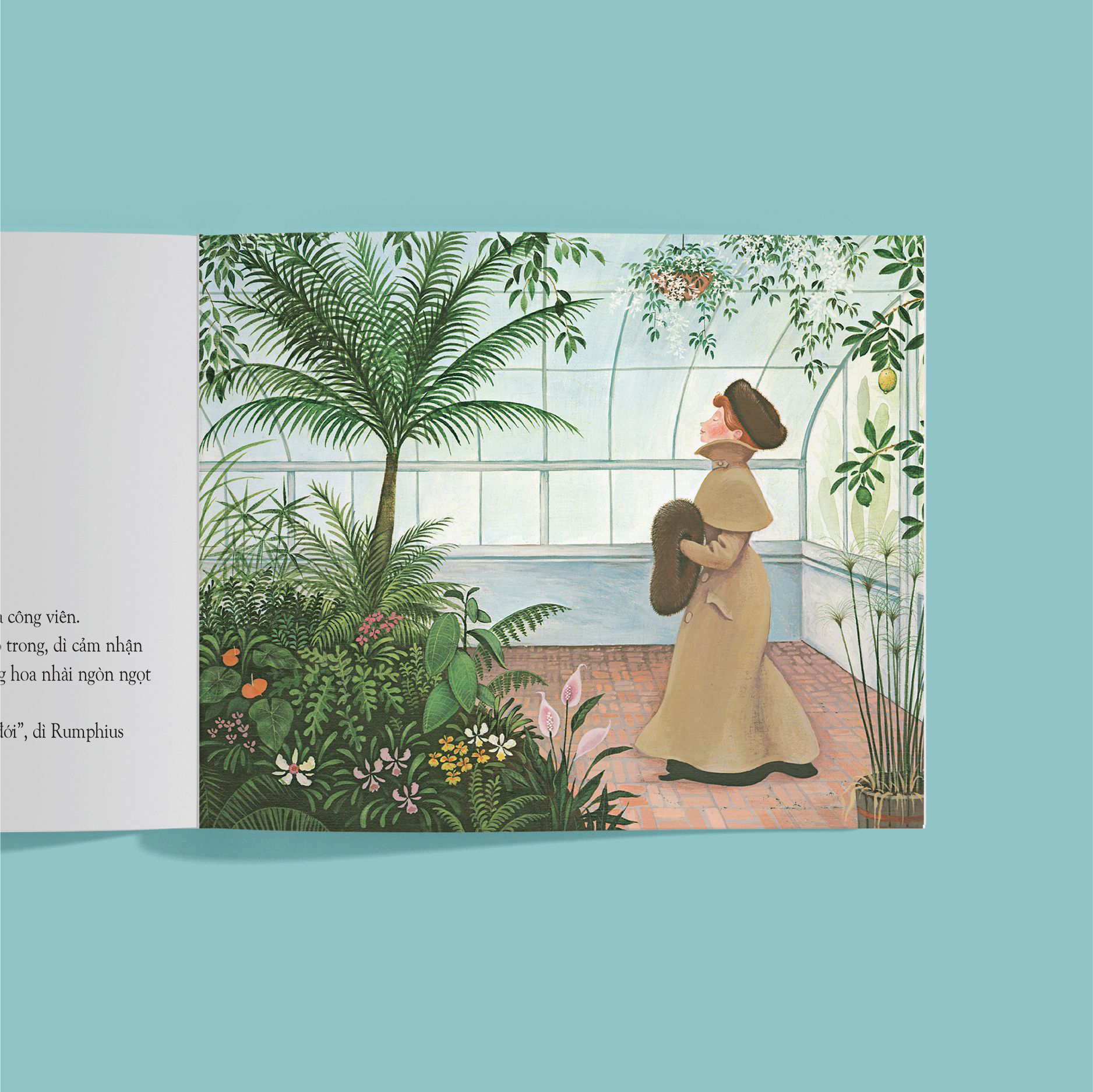 dì rumphius - bìa cứng