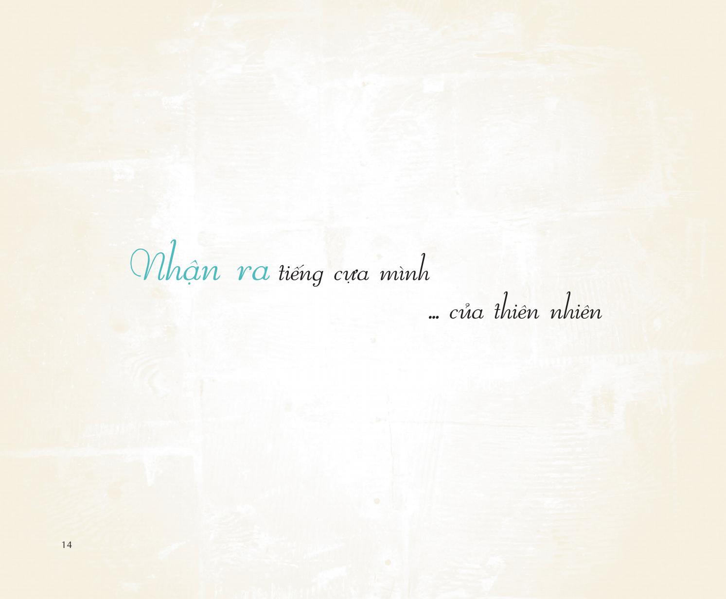 đi vào thực tại - thức tỉnh tâm linh qua câu chuyện của chó mèo