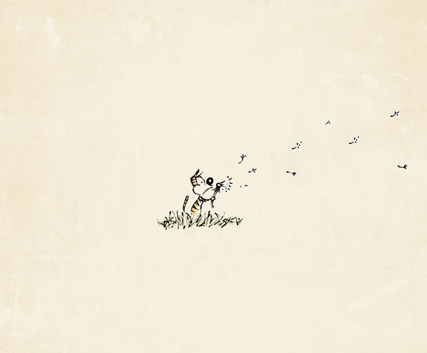 đi vào thực tại - thức tỉnh tâm linh qua câu chuyện của chó mèo