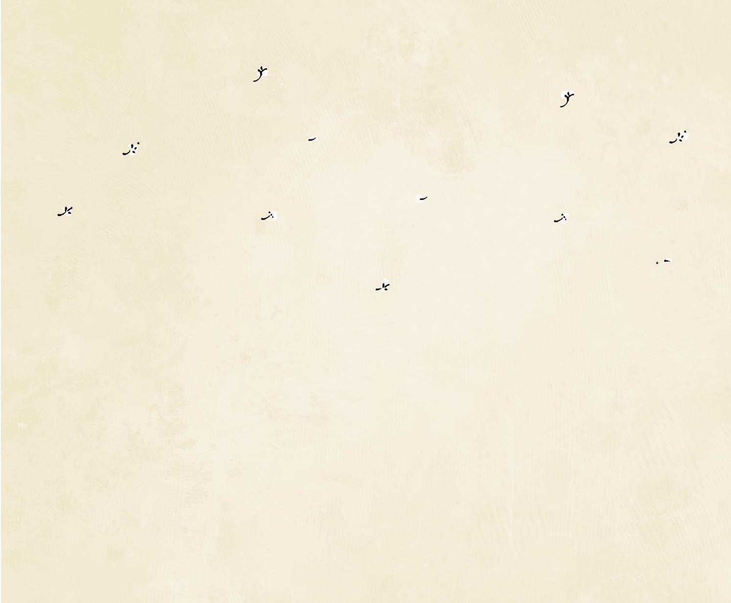 đi vào thực tại - thức tỉnh tâm linh qua câu chuyện của chó mèo