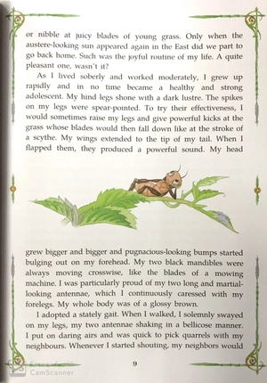 diary of a cricket (tái bản 2024)