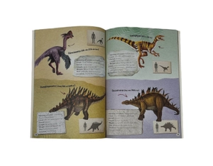 dig and discover kits - dinosaurs