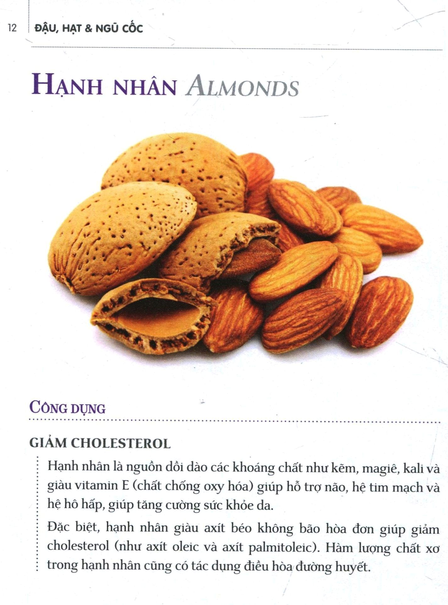 dinh dưỡng chữa bệnh - đậu, hạt & ngũ cốc