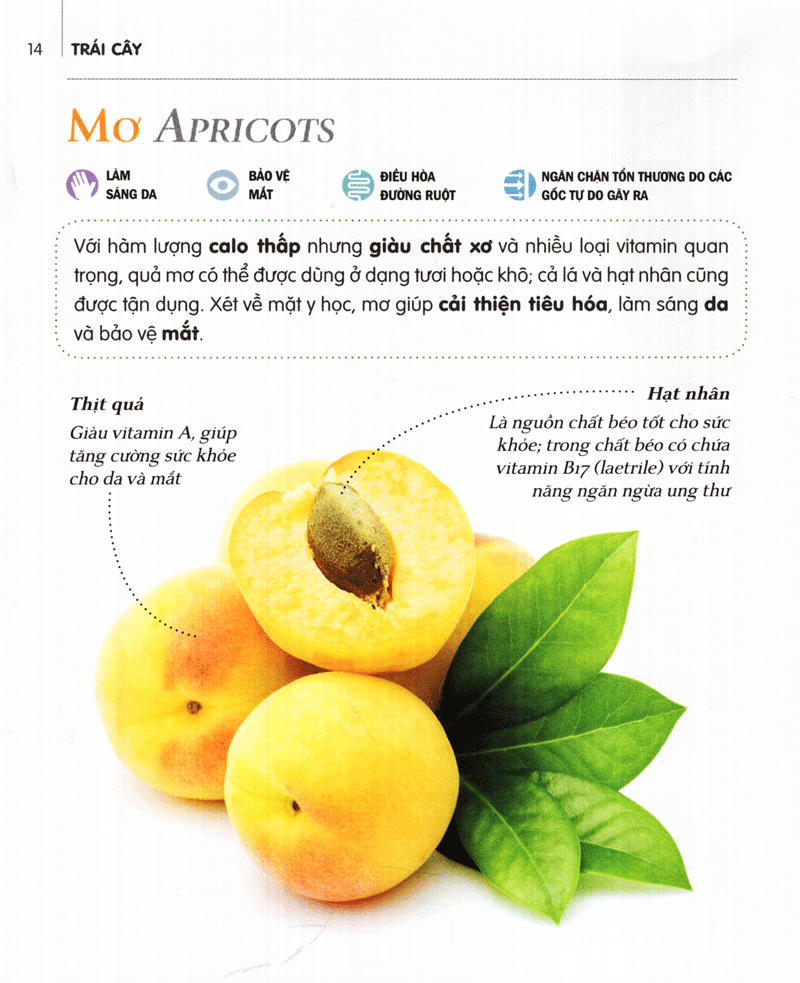 dinh dưỡng chữa bệnh - trái cây (tái bản 2021)