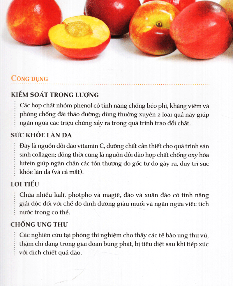 dinh dưỡng chữa bệnh - trái cây (tái bản 2021)