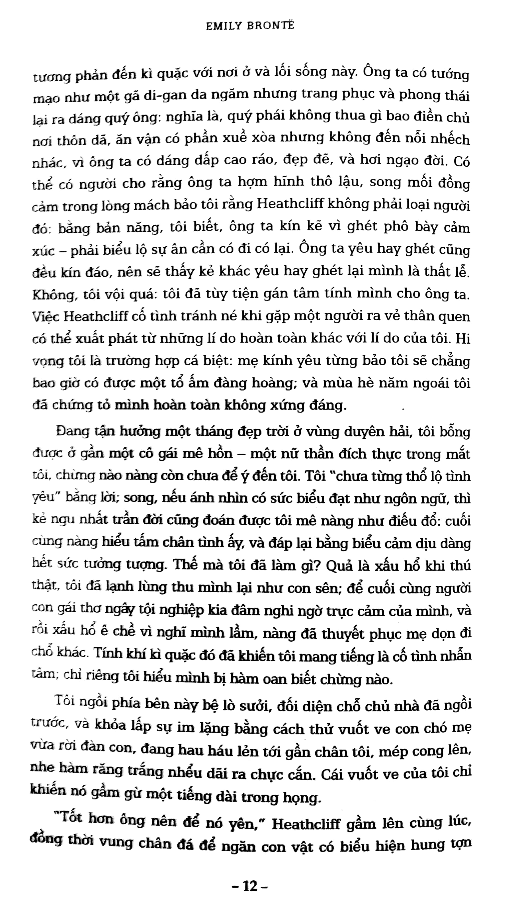 đỉnh gió hú (bìa mềm)