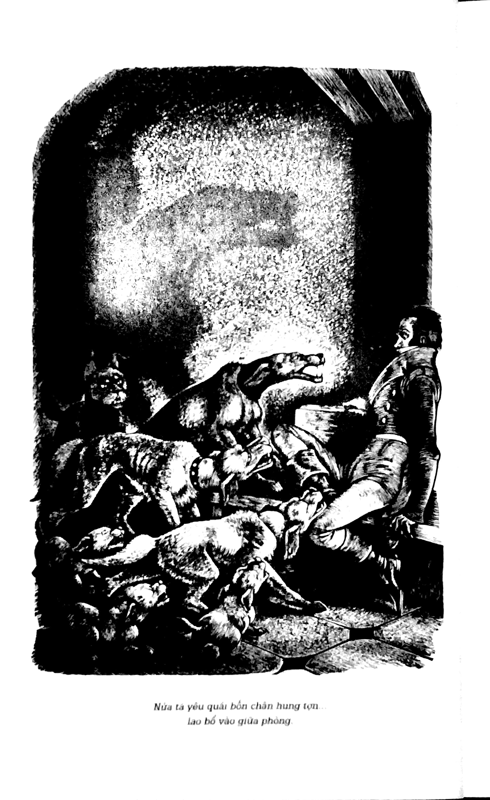 đỉnh gió hú (bìa mềm)