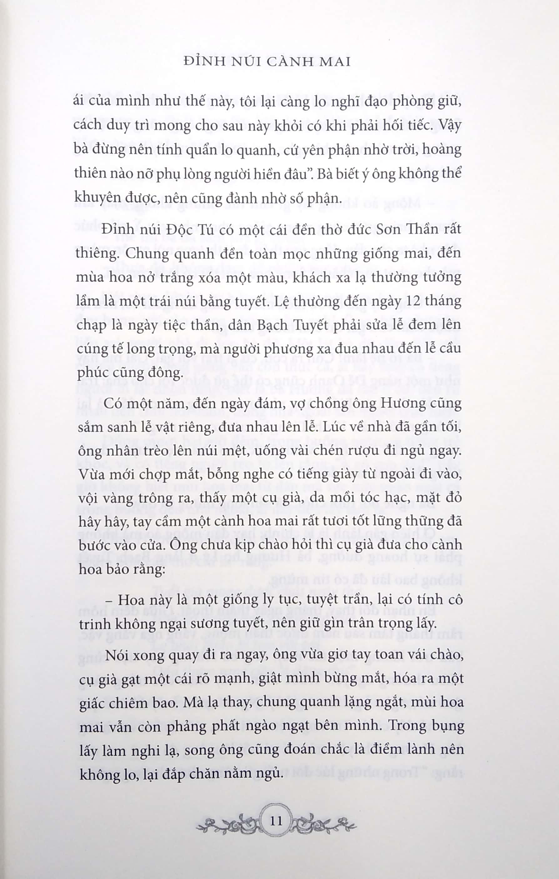 đỉnh núi cành mai