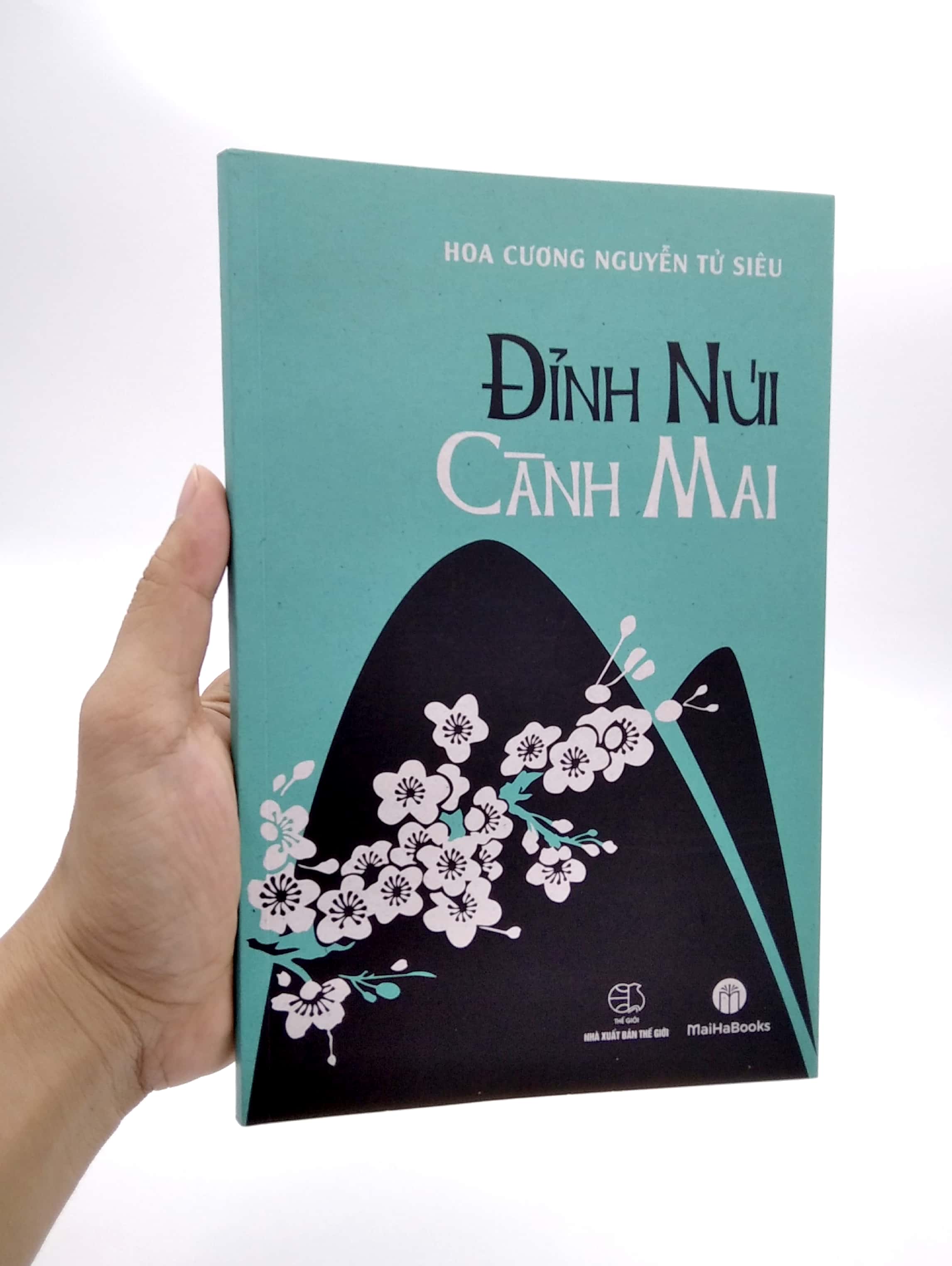 đỉnh núi cành mai