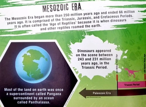 dinosaur attack- jigsaw puzzle and fact book (500 pieces)