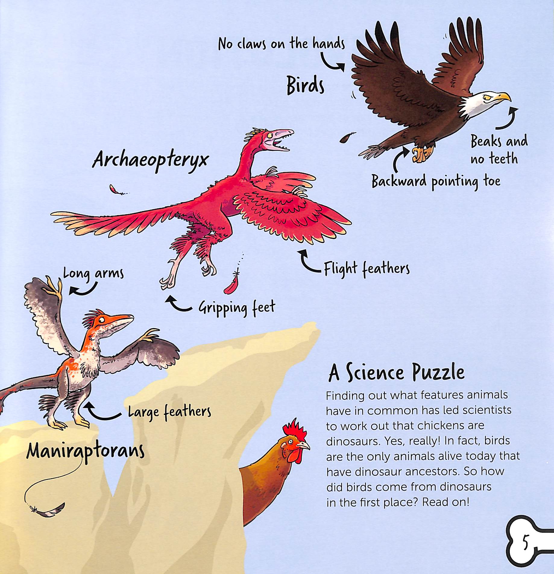 Dinosaur Science - Are Chickens Really Dinosaurs?!