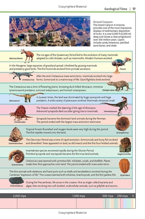 dinosaurs and other prehistoric life (dk smithsonian handbook)