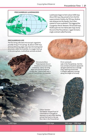 dinosaurs and other prehistoric life (dk smithsonian handbook)