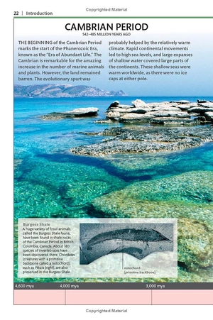 dinosaurs and other prehistoric life (dk smithsonian handbook)