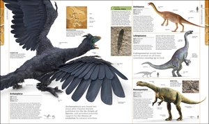 dinosaurs and prehistoric life - the definitive visual guide to prehistoric animals