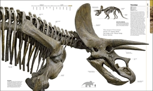 dinosaurs and prehistoric life - the definitive visual guide to prehistoric animals