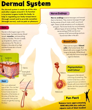 discover 3d human body - black cover