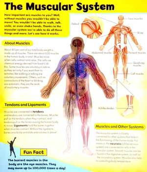 discover 3d human body - black cover