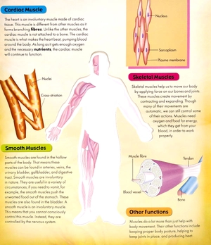 discover 3d human body - black cover