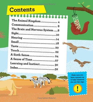 discover it yourself - animals in action