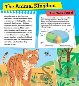 discover it yourself - animals in action