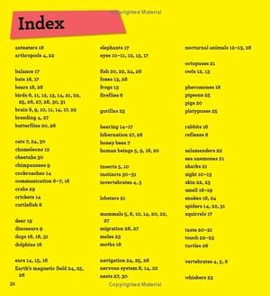 discover it yourself - animals in action