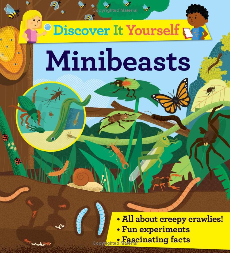 discover it yourself - minibeasts