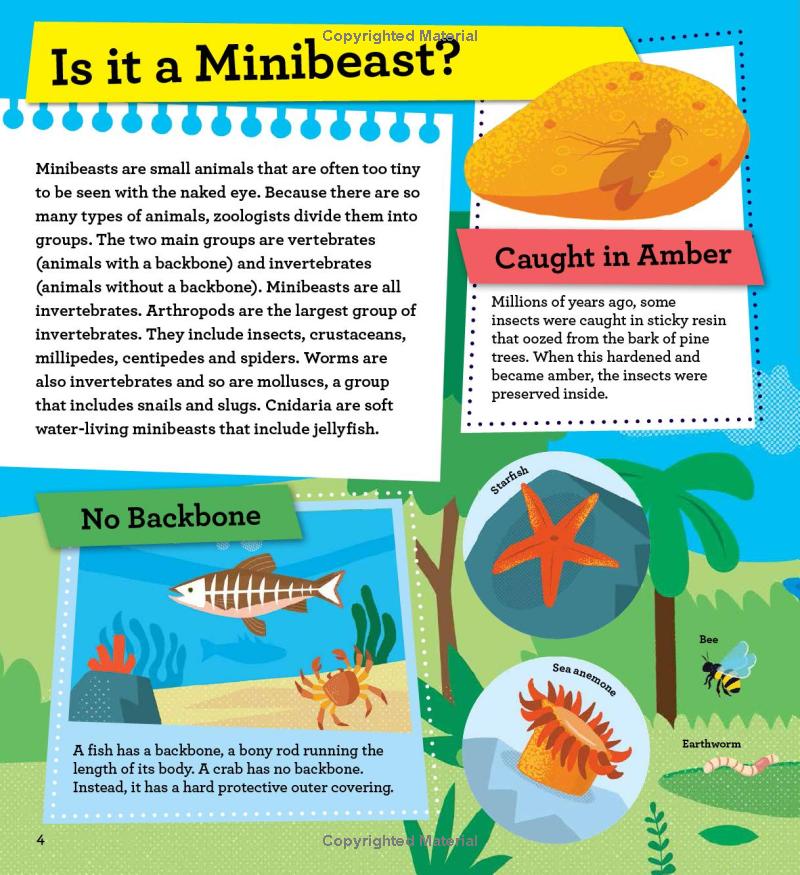 discover it yourself - minibeasts