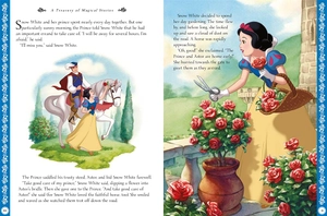 disney princess - a treasury of magical stories