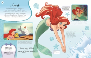 disney princess the enchanted library slipcase