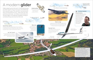 dk eyewitness: flight