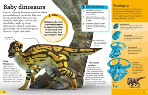 dkfindout! dinosaurs