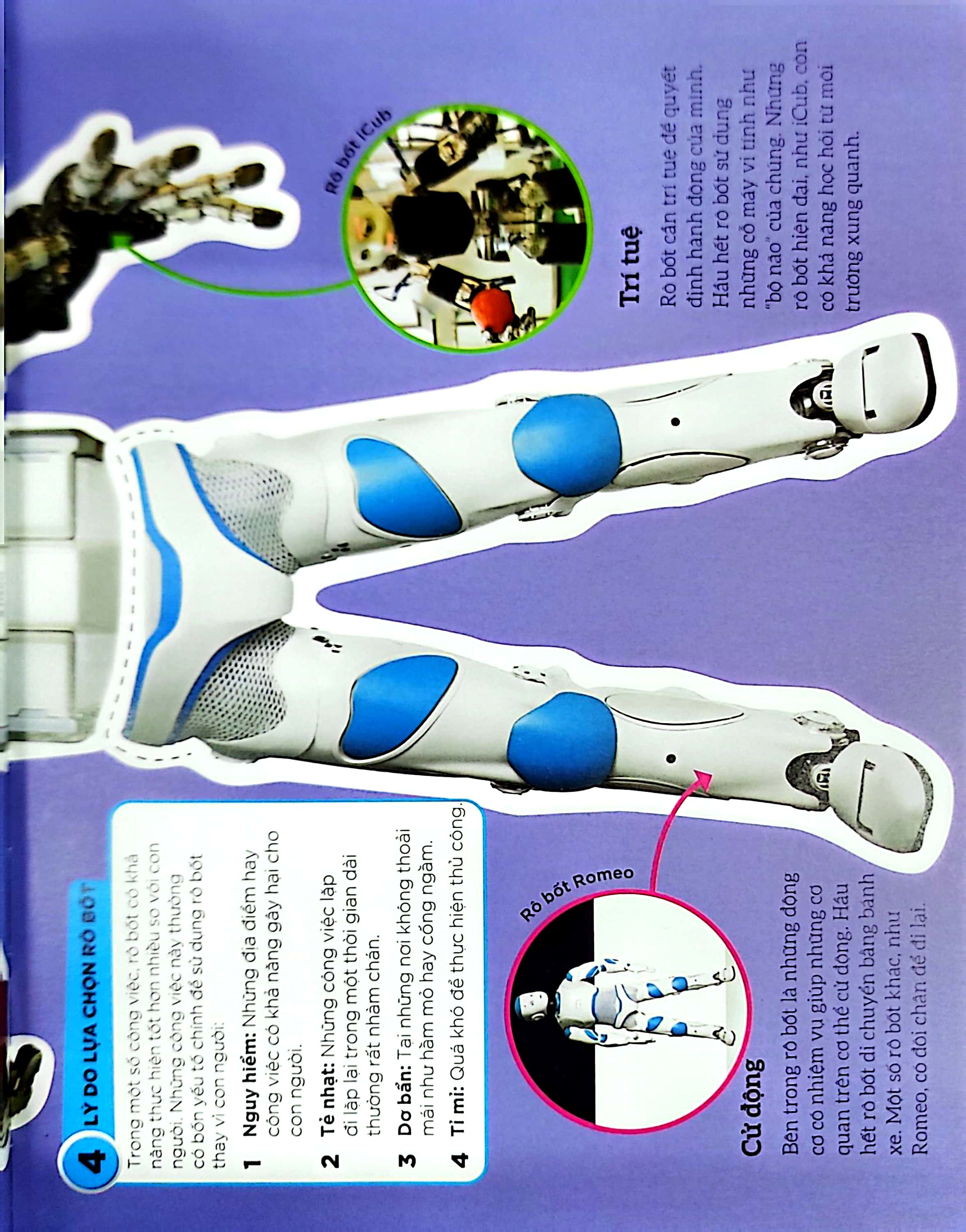 dkfindout - những điều sách giáo khoa không dạy bạn - rô bốt