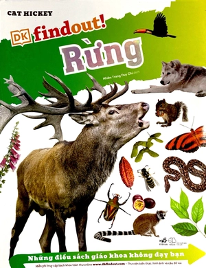 dkfindout - những điều sách giáo khoa không dạy bạn - rừng