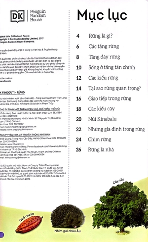 dkfindout - những điều sách giáo khoa không dạy bạn - rừng