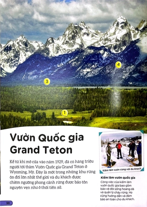 dkfindout - những điều sách giáo khoa không dạy bạn - rừng