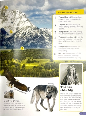 dkfindout - những điều sách giáo khoa không dạy bạn - rừng