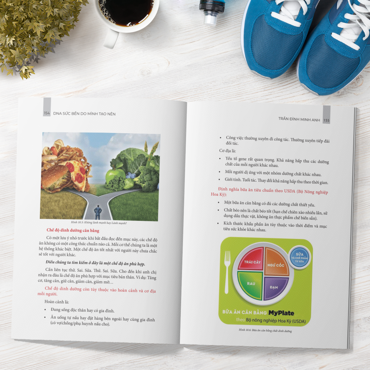 dna sức bền do mình tạo nên