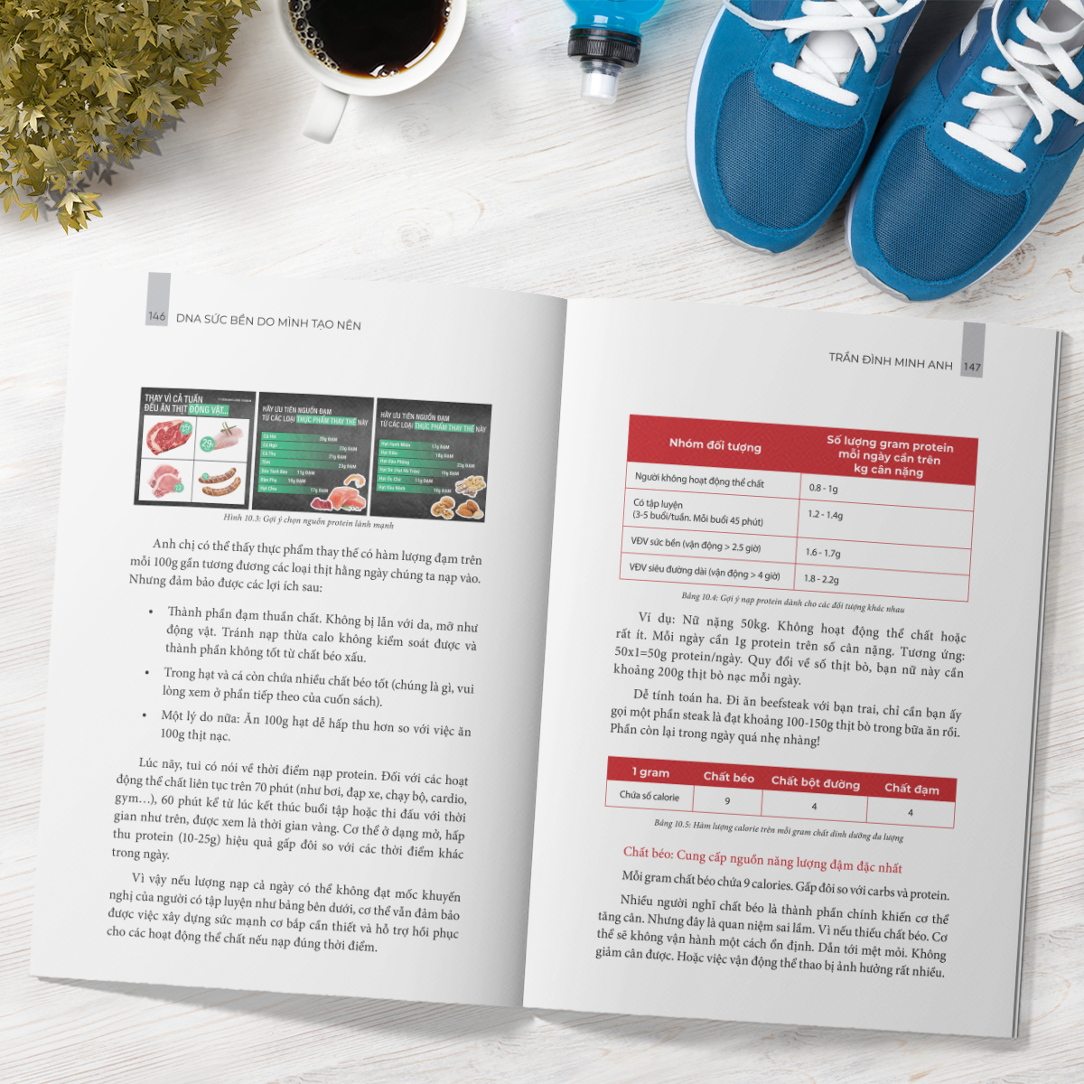 dna sức bền do mình tạo nên