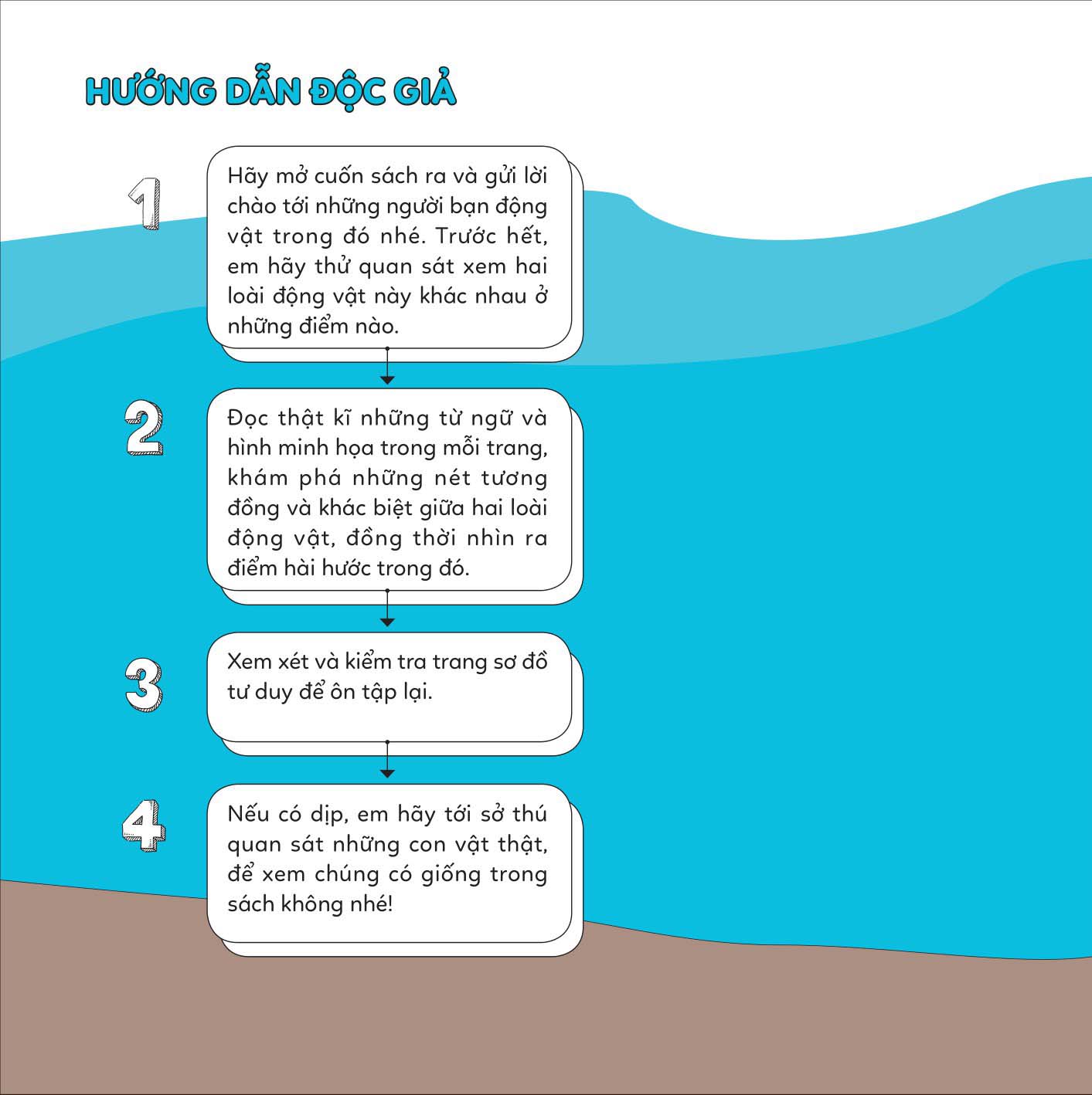 đố em phân biệt! - bạch tuộc và mực