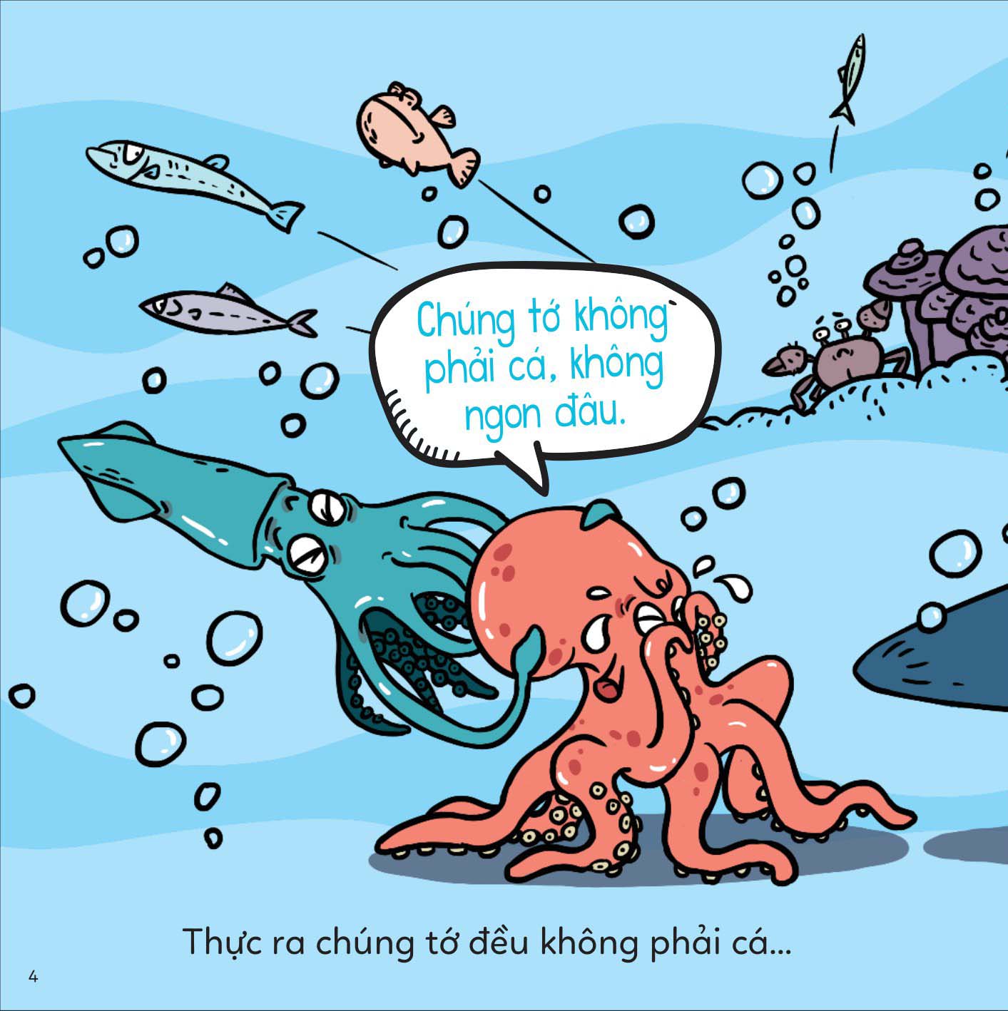 đố em phân biệt! - bạch tuộc và mực